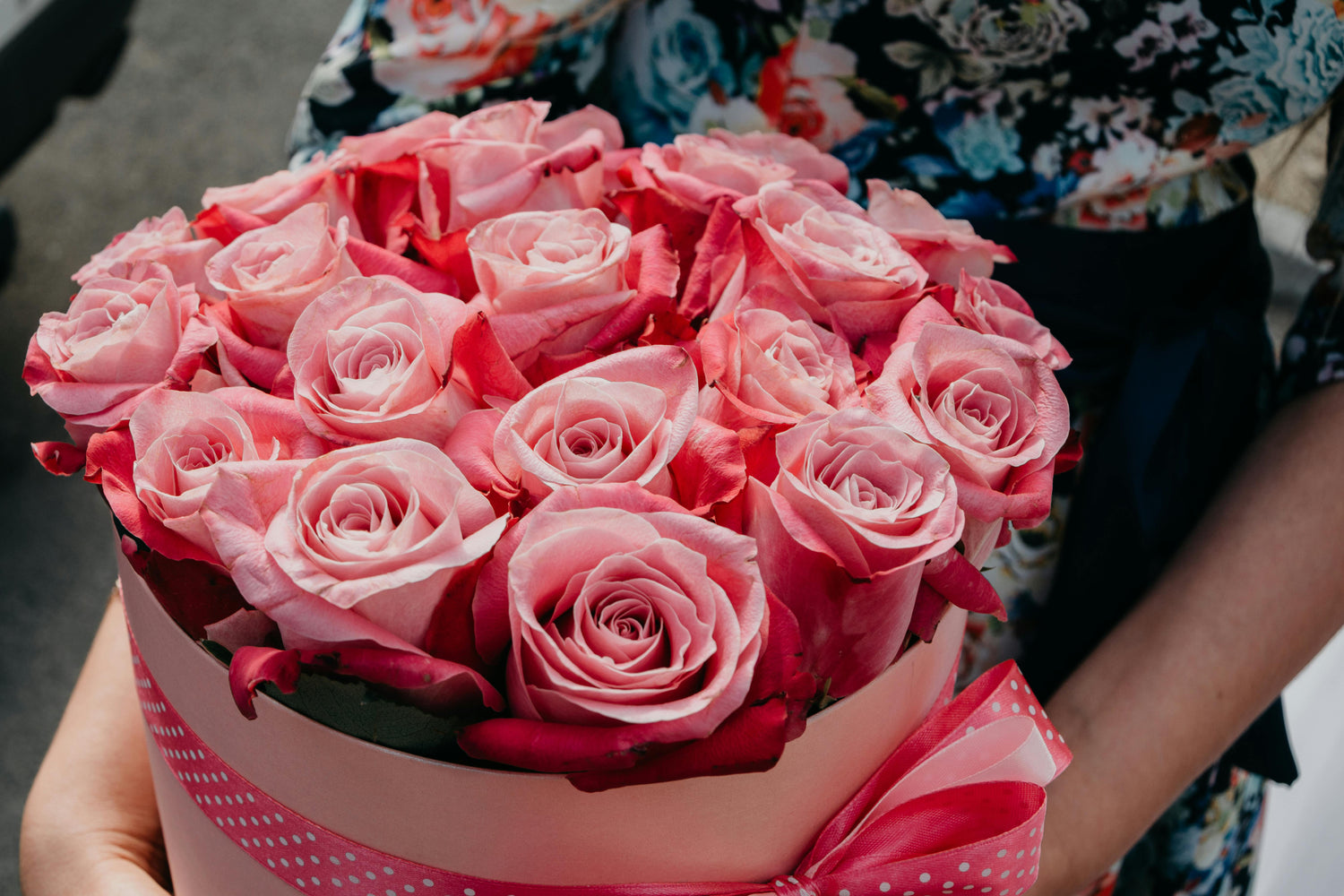 Pink Roses Edit
